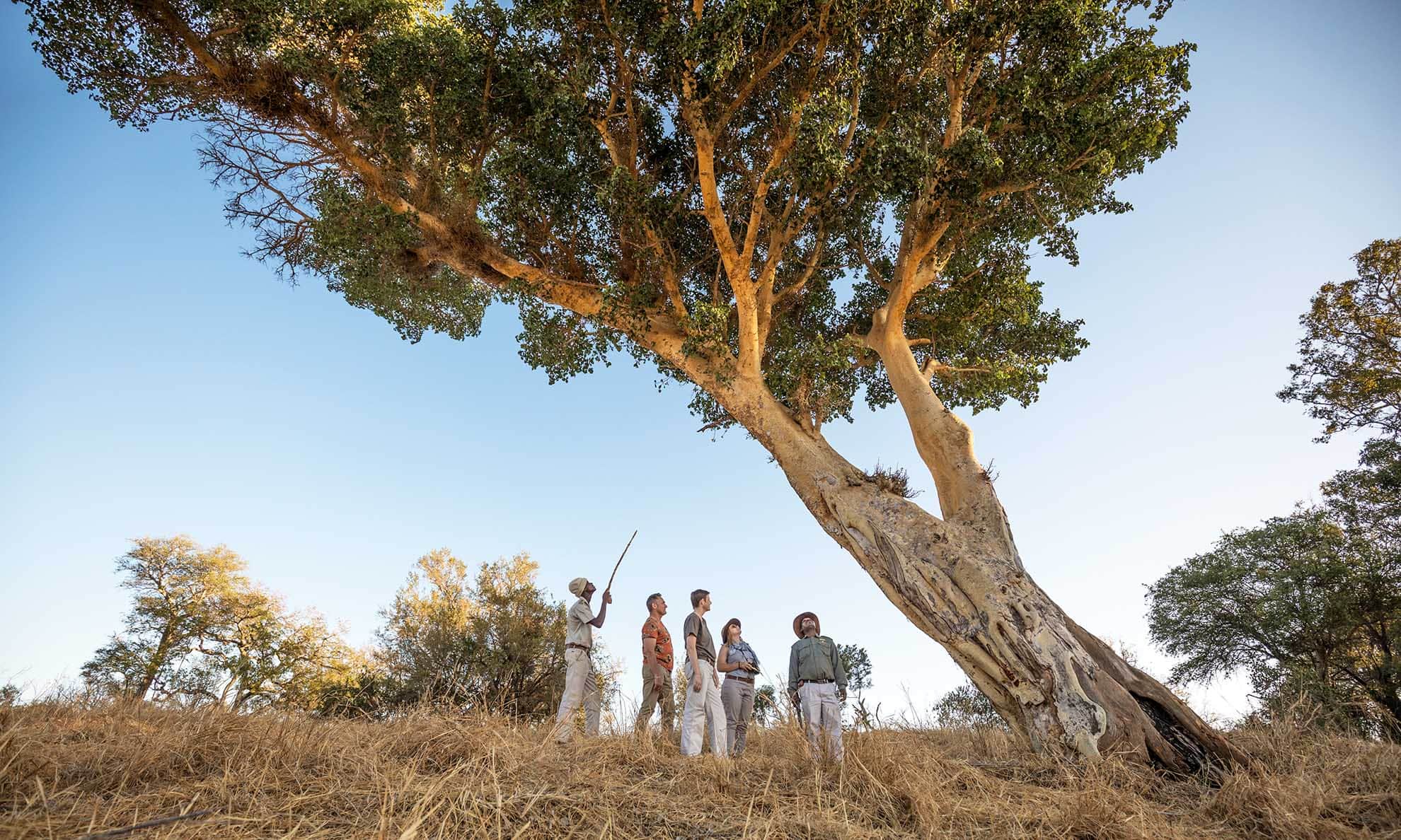 Karongwe-experiences-bushwalks-6